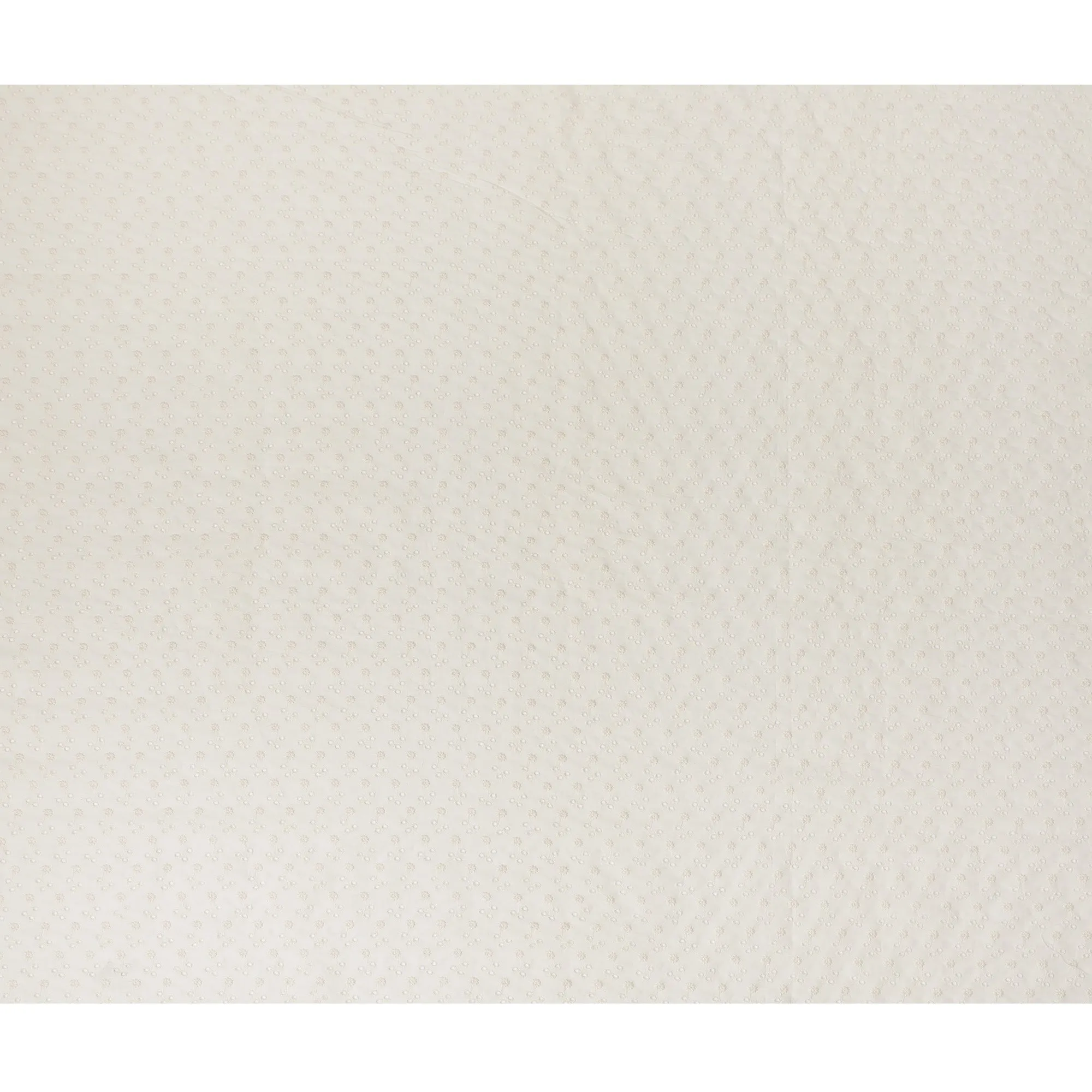 Antique White Cotton Voile Fabric with Floral Embroidery, 110 cm Width-D20119