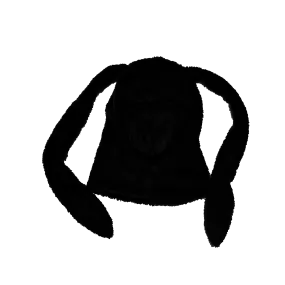 FINNCLAVA v2