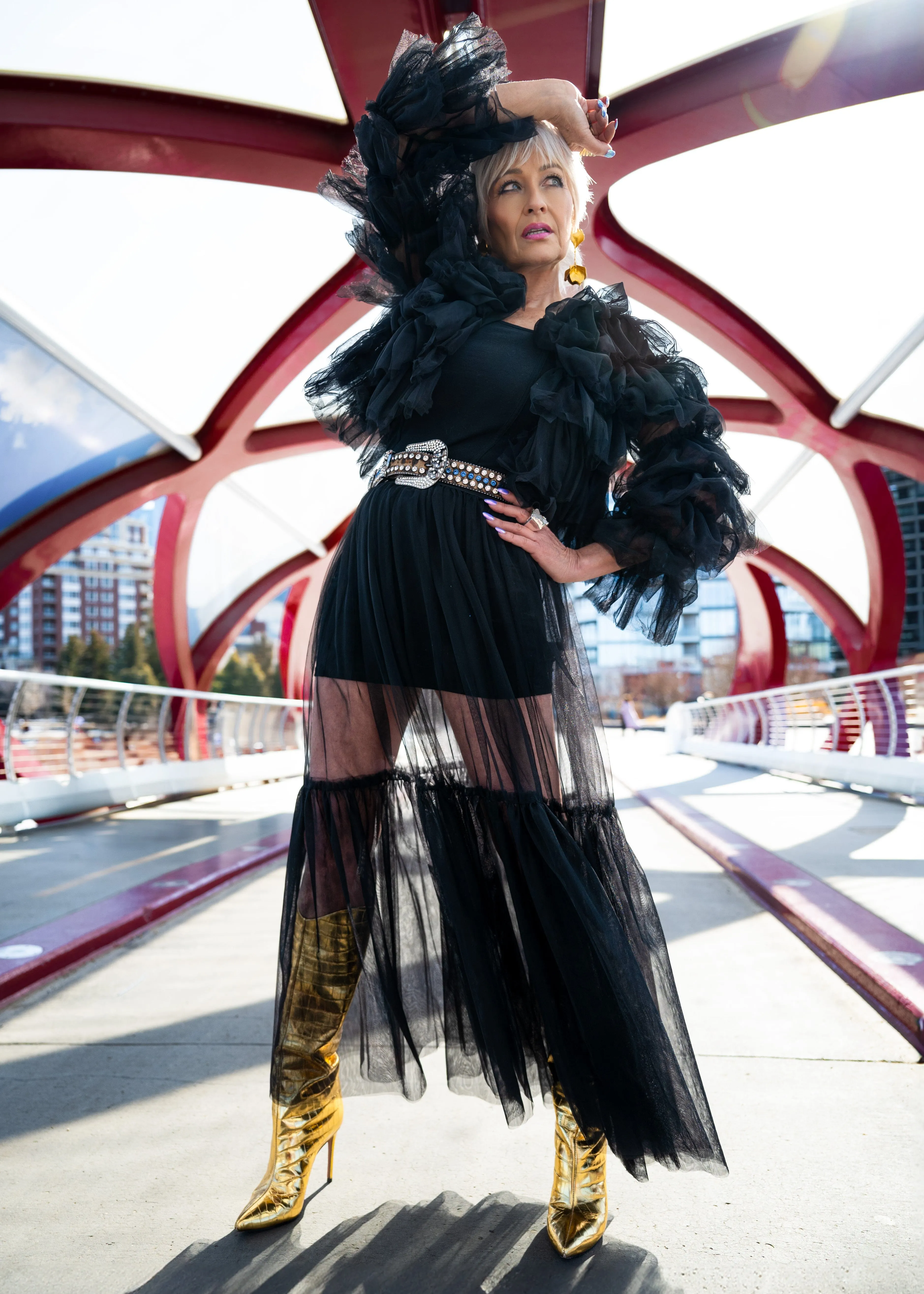 Long Sheer Tulle Skirt